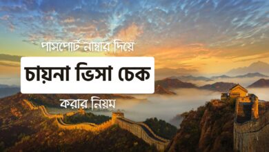 চায়না ভিসা চেক করার নিয়ম - China Visa Check