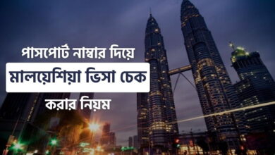 পাসপোর্ট নাম্বার দিয়ে মালয়েশিয়া ভিসা চেক | Malaysia Visa Check malaysia visa check online by passport number